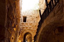 Full day Tour Jerash، Ajloun and Um Qais from Amman
