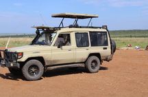 Private Game Drive in Maasai Mara