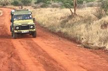 Private Game Drive in Maasai Mara