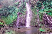 Private Half Day Tour: Papeete and Nature of Tahiti east coast
