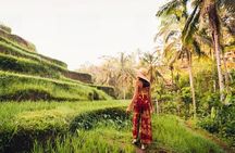 Private Tour Ubud: Swing at Rice Field with Temple and Waterfall