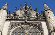 Leiden City Tour with Live guide in Netherlands