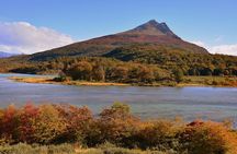 Half Day in Tierra del Fuego National Park with Train