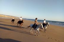  Agadir/Taghazout Horse Ride on the beach