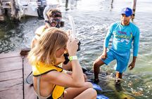 Reef and Shipwreck Snorkeling Tour
