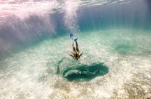 Snorkeling Tour with Turtles and Stingrays Puerto Morelos