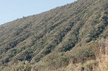 Hiking Trip to Mount Longonot National Park & Lake Naivasha 