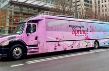 The DC Cherry Blossom Bus Tour with Tidal Basin Guided Walk