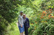 Coastal Foraging and Folklore Tour
