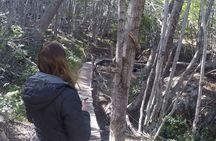 Gastronomic Tour in Puerto Almanza
