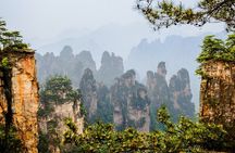 Full-Day Private Tour of Zhangjiajie National Forest Park