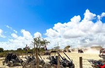 Punta Cana 4x4 Buggy Adventure 2024