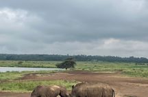 Olpejeta Lake Nakuru & Masai Mara 5 days and 4 nights.