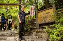 Arashiyama Hidden Gems: Walking Tour escaping crowds