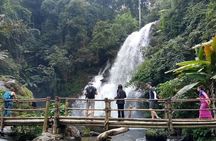 Eco 1.45Hours Hiking @Pha Dok Siaw + Doi Inthanon & Royal Project