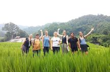 Eco 1.45Hours Hiking @Pha Dok Siaw + Doi Inthanon & Royal Project
