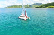 All inclusive CATAMARAN with BBQ : Ile aux cerf & GRSE waterfall