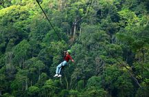 Kingkong Smile Zipline Adventure Tour From Chiang Mai