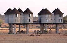 Overnight Safari To Saltlick Lodge from Mombasa