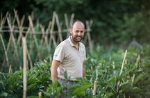 Cook like a local Greek Cooking lesson in Mt Pelion Greece