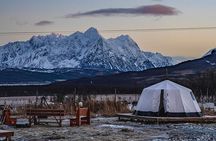 Overnight Stay in Lavvu and Reindeer Feeding