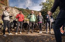 Guided tour of Beaujolais by electric bike and wine tasting