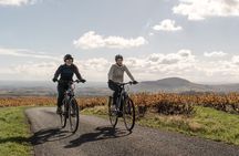 Guided tour of Beaujolais by electric bike and wine tasting