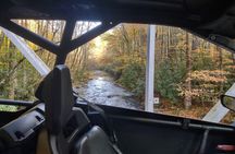 Guided Off-Road UTV/SxS Wilderness Adventure