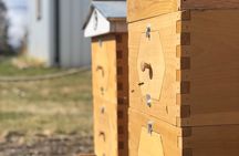 Okanagan Bee Tour and Lunch at Winery