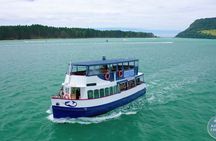 Tauranga Harbour Scenic 90 Minute Historical Boat Cruise