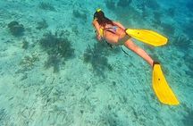 Swim & Reef Snorkeling Bonaire