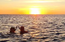 Swim & Reef Snorkeling Bonaire