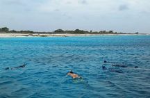 Swim & Reef Snorkeling Bonaire
