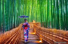 Private Kyoto-Nara Tour from Osaka with Hotel Pickup and Drop off
