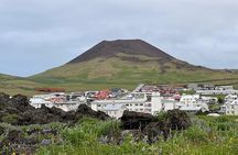PRIVATE 2-Hours Tour - Westman Islands with a local in a BMW X5