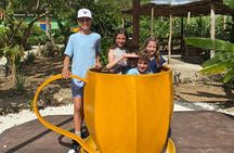 Shared Half-Day Tour in Punta Cana with Local Guide
