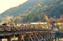 Kyoto & Nara Day Tour: Golden Pavilion, Fushimi Inari & Deer Park