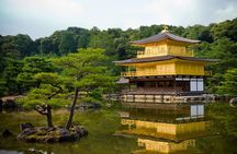 Kyoto & Nara Day Tour: Golden Pavilion, Fushimi Inari & Deer Park