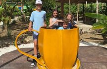 Private Half Day Tour in Dominican Republic with Local Guide