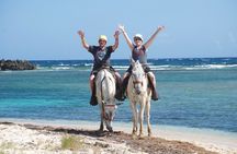 Horseback Riding at Mahogany Bay 