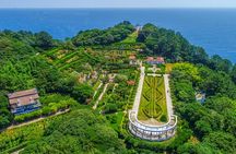 Enchanting Oedo Island Day Tour from Busan with Windy Hill