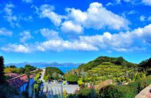 Enchanting Oedo Island Day Tour from Busan with Windy Hill