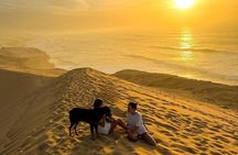 Best price SandBoarding guided experience in Agadir & Taghazout