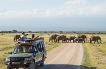 2 Nights 3 Days Amboseli National Park With 4*4 Vehicle 