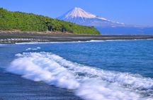 Private Sightseeing Tour from Shimizu Port /Small Bus 