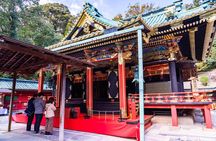 Private Sightseeing Tour from Shimizu Port /Small Bus 