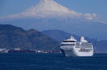 Private Sightseeing Tour from Shimizu Port /Small Bus 