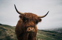 Private Guided Tour in Scottish Highlands