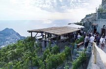 Ischia 3 Hours Wine Experience: Tastings, Vineyards & Pick-up