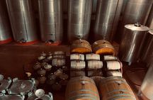 Ischia: Panoramic Wine Tour with Tastings, Vineyards & Pick-up